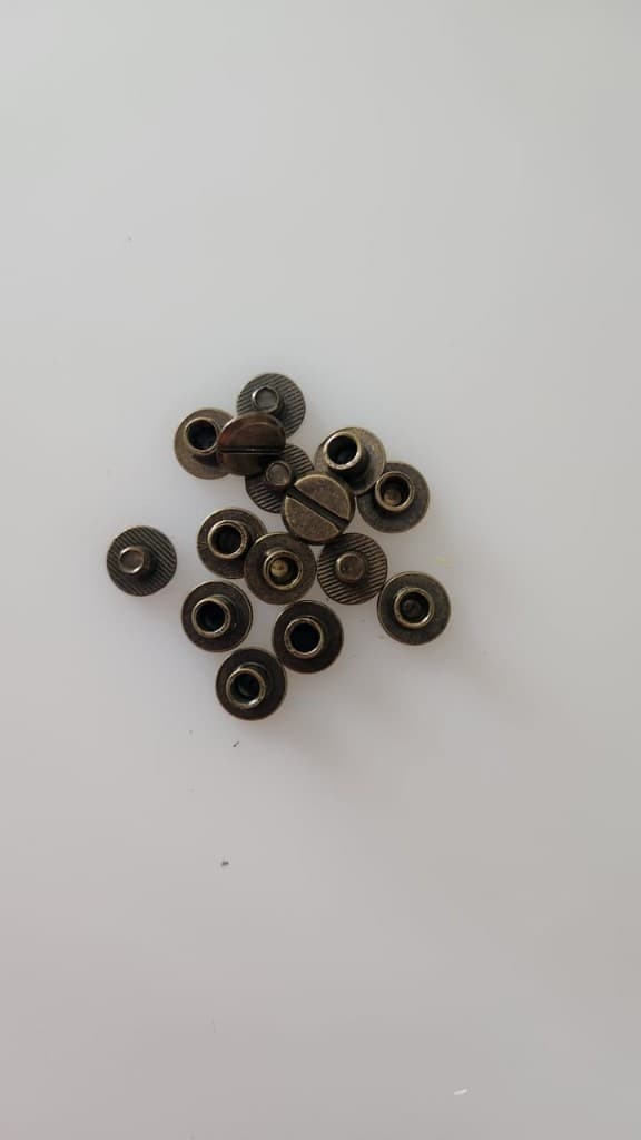 Antique brass Chicago screws by Plaasjaap